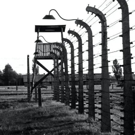 Kūrėjo laikysena destruktyviame pasaulyje