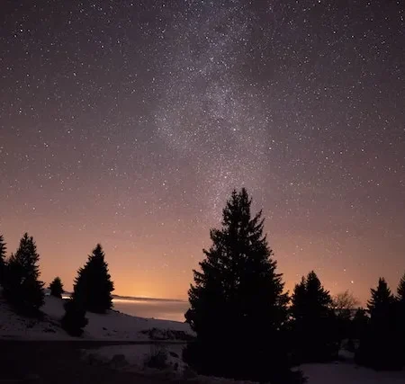kalbėjimo tema, tėvynės ilgesio tema